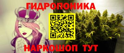 PSILOCYBIN Обь