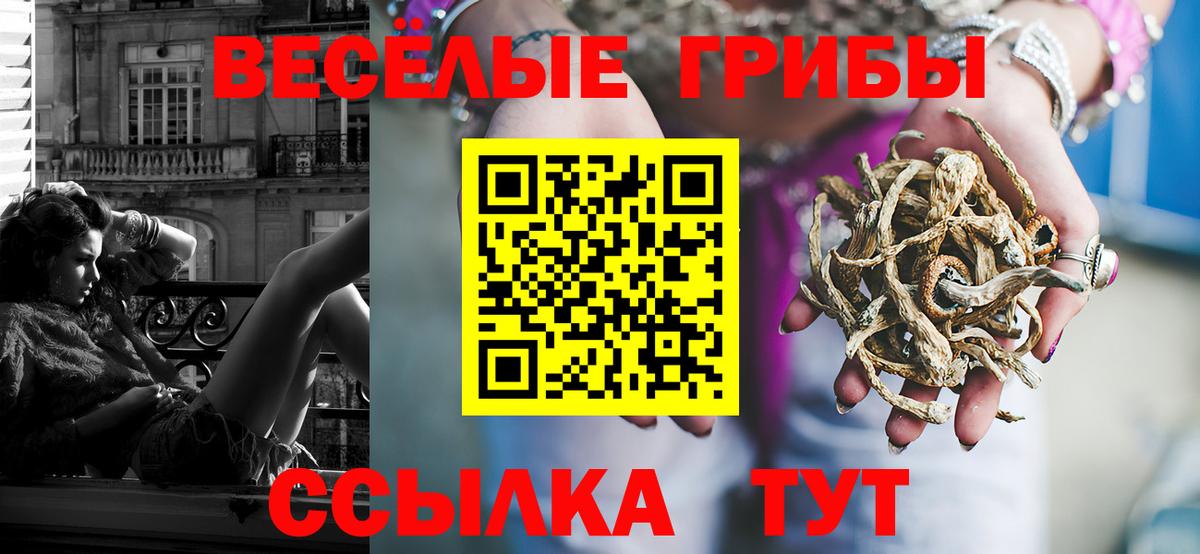 Псилоцибиновые грибы Magic Shrooms  Галлюциногенные грибы мицелий  Вход с VPN  Славянск-на-Кубани 